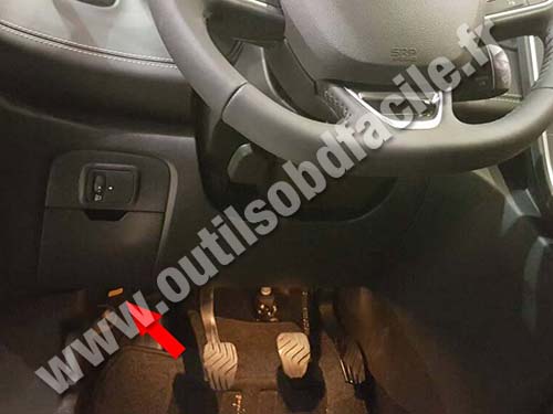 Renault Scenic Pedals