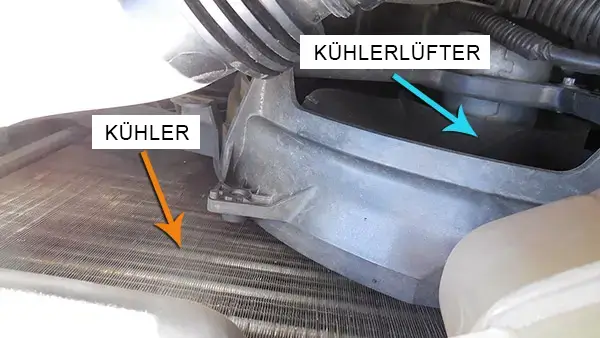 Kühler und Kühlerlüfter